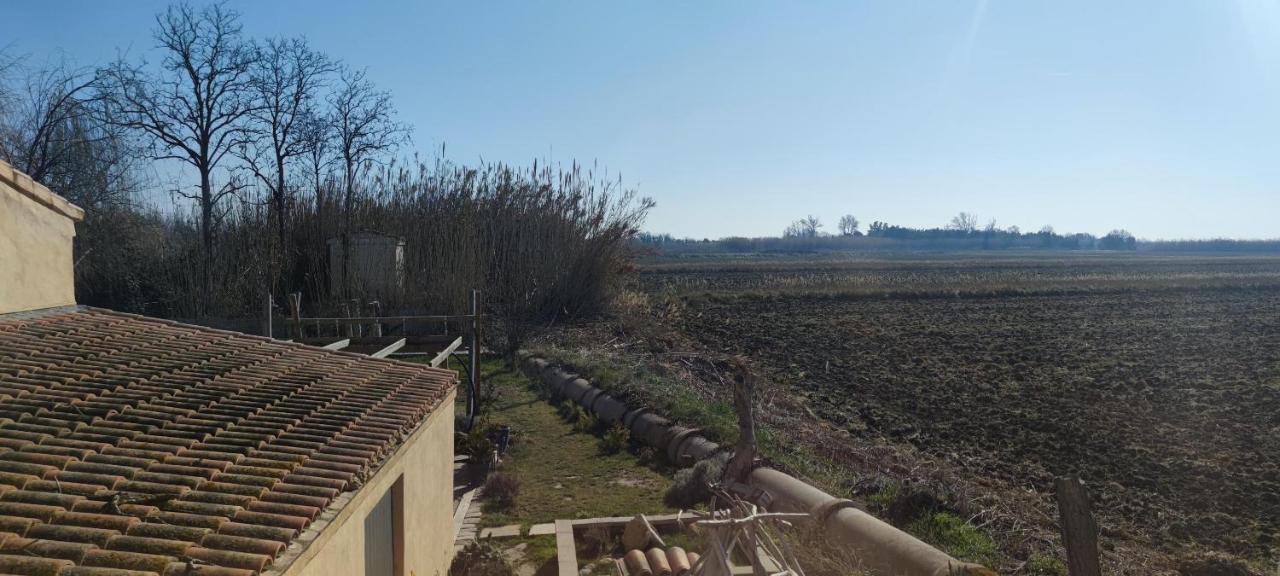 Appartement au coeur des rizières Salin-de-Giraud Extérieur photo