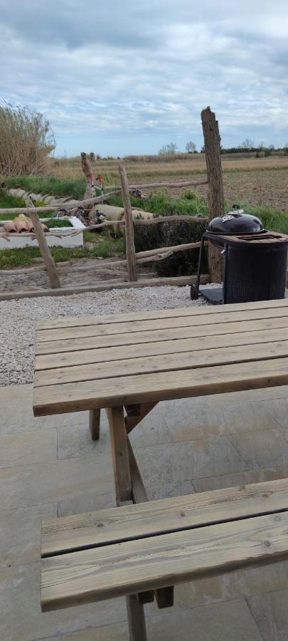 Appartement au coeur des rizières Salin-de-Giraud Extérieur photo